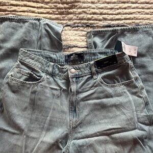 Hollister Light Blue Baggy Denim Jeans